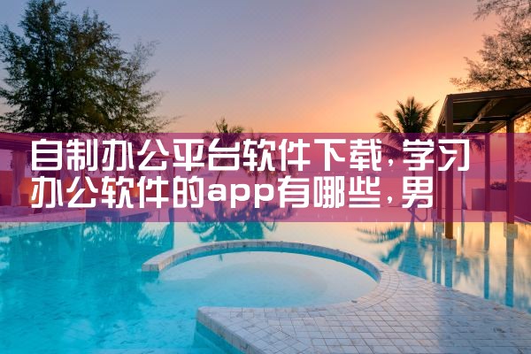 自制办公平台软件下载|男娘日记