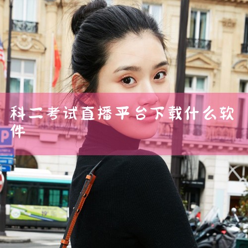 用户未通过考试可申请补考费用补偿；VIP课程：提供科目二、科目三实操技巧视频，由资深教练讲解。其他软件如元贝驾考、驾考宝典3D练车等虽未详细说明功能，但凭借高下载量与用户评价入选推荐列表。用户可根据自|