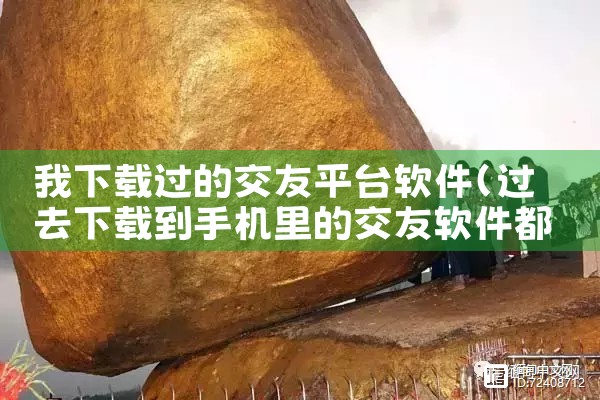 我下载过的交友平台软件|糖心Vlog入口