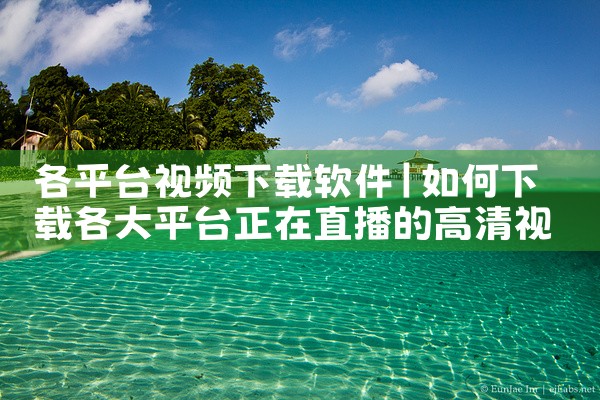 各平台视频下载软件|男娘日记