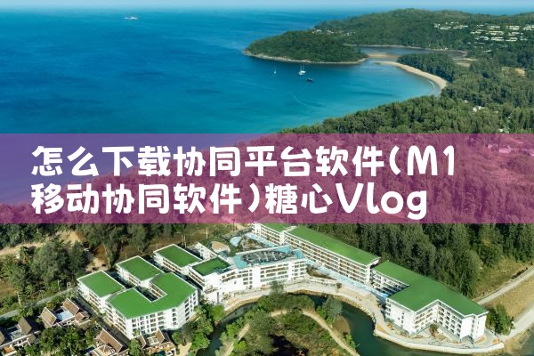 怎么下载协同平台软件|糖心Vlog