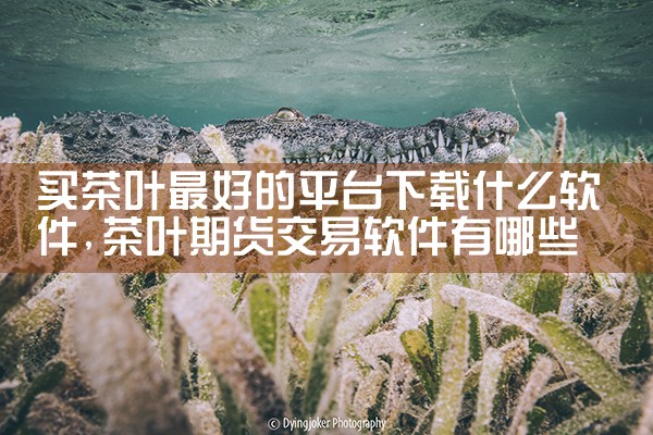 国外下载平台软件下载|糖心Vlog入口