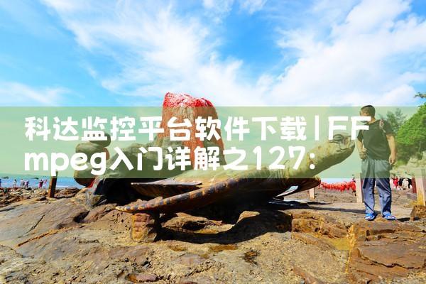 科达监控平台软件下载|糖心Vlog