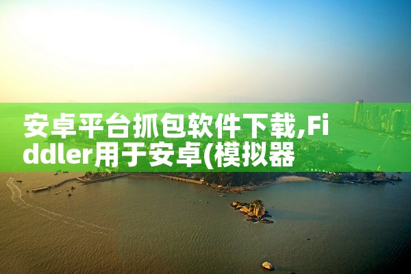安卓平台抓包软件下载|糖心Vlog入口