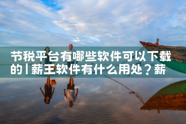 节税平台有哪些软件可以下载的