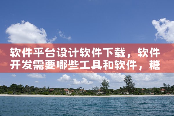 软件平台设计软件下载|糖心Vlog入口